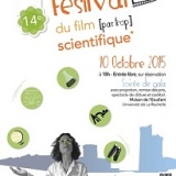 Festival 2015