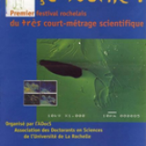 Festival 1999