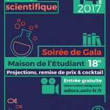 Festival 2017