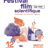 Festival 2019
